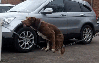 src=http___pic.cjn.cn_tplh_201305_W020130531398994156224.gif&refer=http___pic.cjn.gif