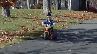 b736058d7d.gif