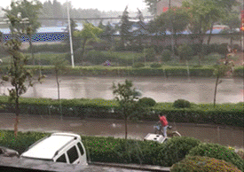 7d6d3ed11f.gif