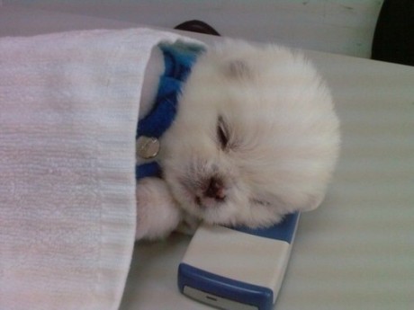 201201132301295890.jpg