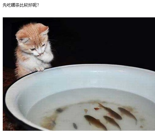 201201081025107414.jpg
