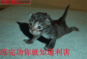201201061123275983.gif