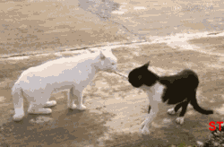 201201032320502443.gif