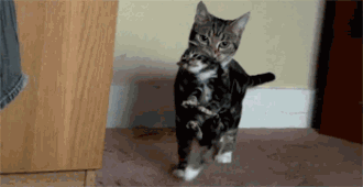 201201032318390955.gif