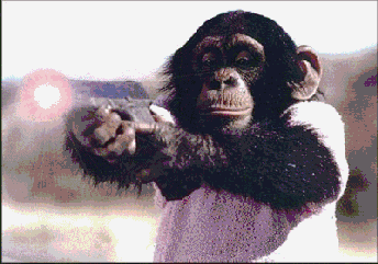 201201021129496808.gif