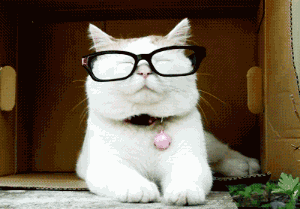 201112130649065508.gif