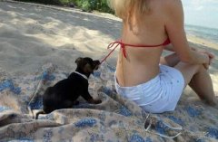 201112051054535531.jpg