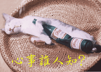 201112020952250411.gif