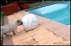 201111251646079953.gif