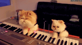 201111242153515598.gif