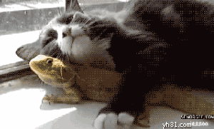 201111212325471561.gif