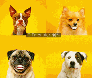201111211615294893.gif