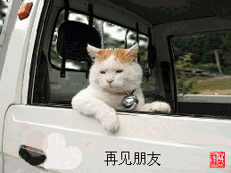 201111151627385331.gif