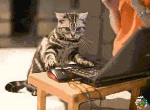 201110301608274180.gif