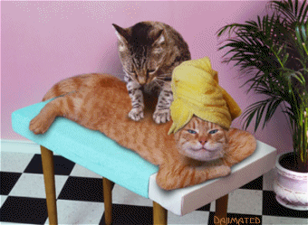 201110110937216911.gif