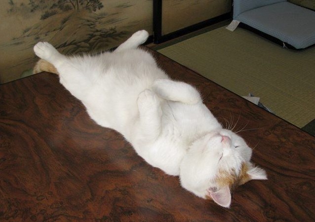 201110082221477439.jpg