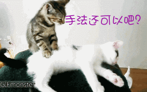 201110051046333557.gif