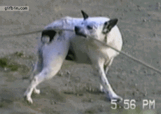 201109221024413540.gif