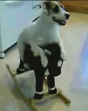 201108161034334864.gif