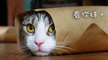 201108140931464791.jpg