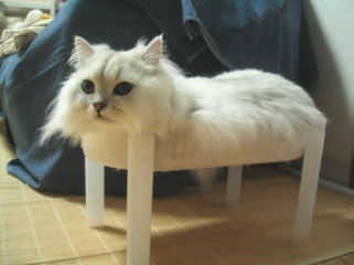201108140931177618.jpg
