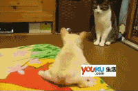 201108121204563486.gif