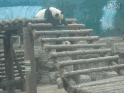201108121159433270.gif