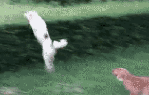 201108110947325831.gif