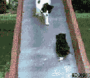 201108100937573804.gif