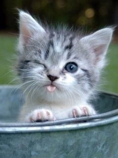 201108080835275104.jpg