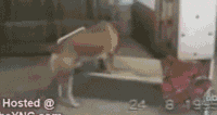 201107311117570793.gif
