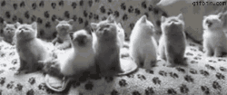 201107311116386134.gif
