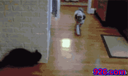 201107211801547832.gif