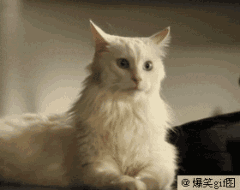 201107080747094842.gif