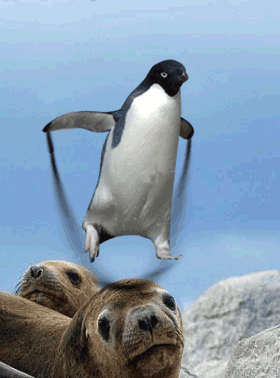 201107060952525568.gif