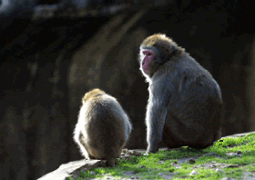 201107050741021682.gif