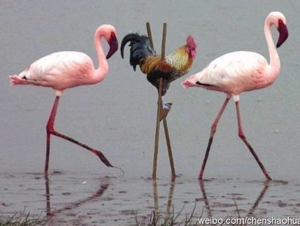 201107031115147905.jpg
