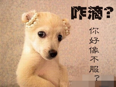 201107021641402216.jpg