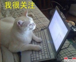 201106170829269729.jpg