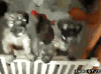 201106100913185697.gif