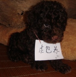 201105111445009928.jpg