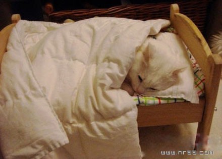 201104030832328933.jpg