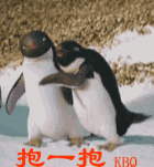 201104030830513617.gif