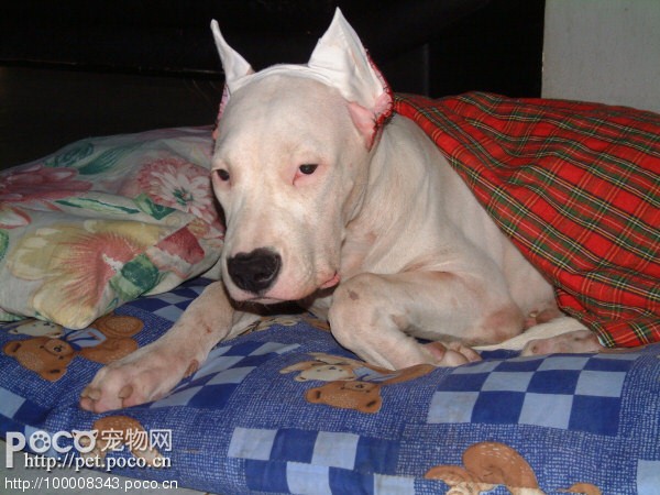 201104030829501124.jpg