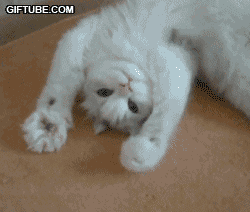 201103301518009300.gif