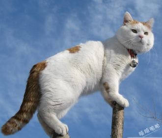201011230053540763.jpg