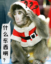 201009250953329124.gif