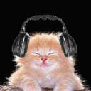 200912212152291682.gif