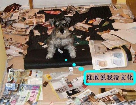 201009141939533969.jpg