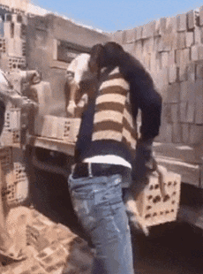 202205231705524971 (1).gif